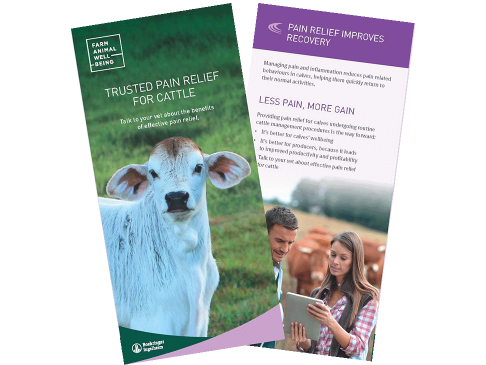 Pain_Relief_for_Cattle_Brochure