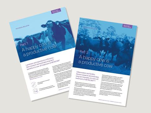 Metacam-technical-bulletins-findings-of-the-Mason-and-Laidlaw-study