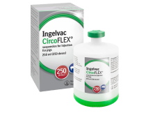 Ingelvac-circoflex-PCV2-vaccine-250-ml-bottle
