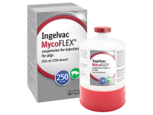 Ingelvac-mycoflex-pig-vaccine-250-ml-bottle