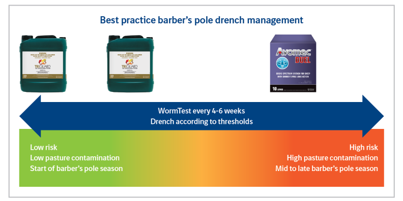 Best_practice_barbers_pole_management.png