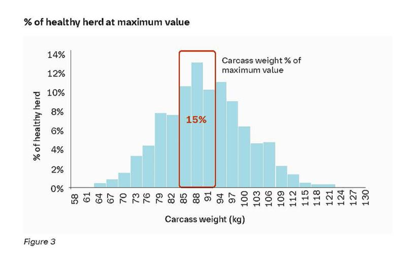 The weight distribution of a healthy pig herd