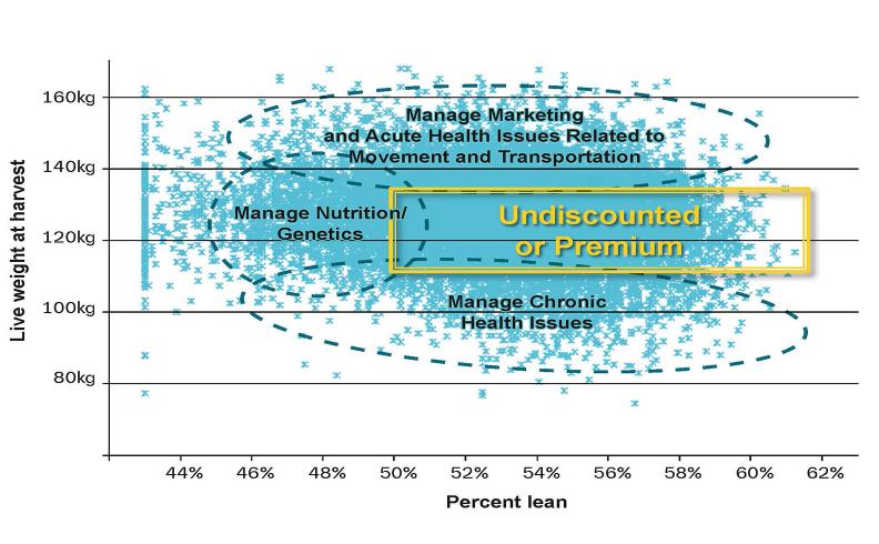 Individual Pig Performance Data