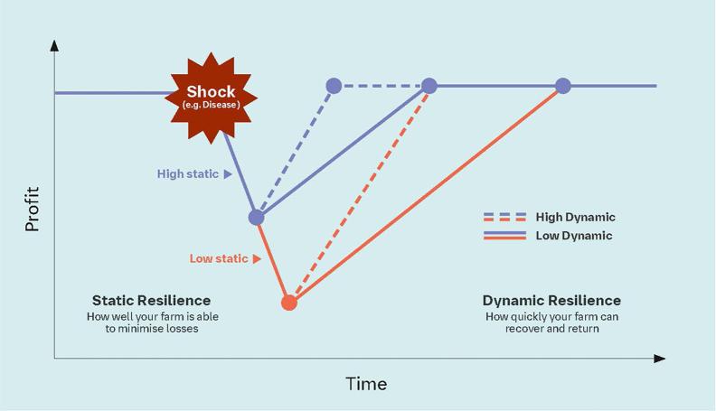 Building_Resilience_Prepare_for_Profitability_Shocks
