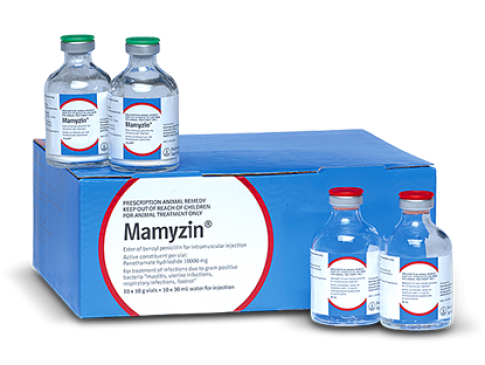 Mamyzin packshot