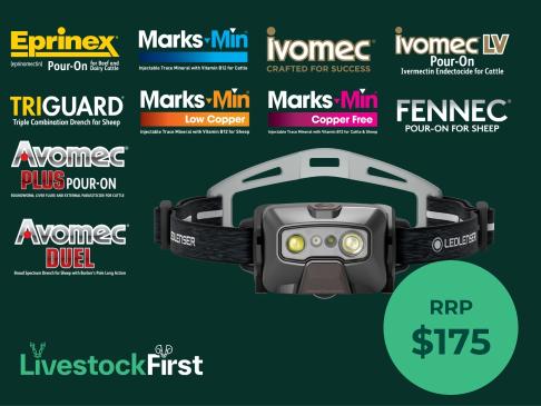 Autumn Ledlenser Promotional Offer