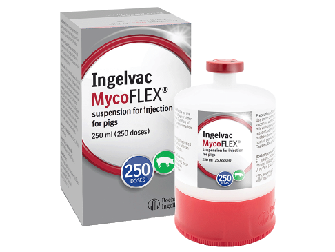 Ingelvac-mycoflex-250-mL-pack