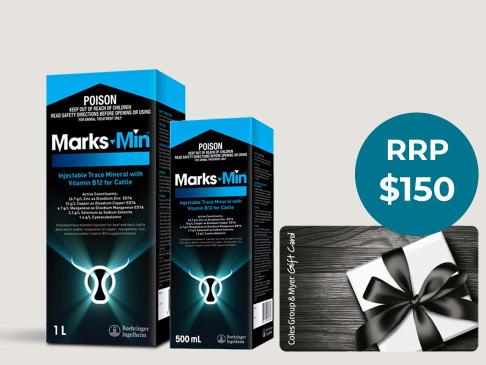 Marks-Min-Autumn-Offer-Claim-Your-FREE-$150-Gift-Card