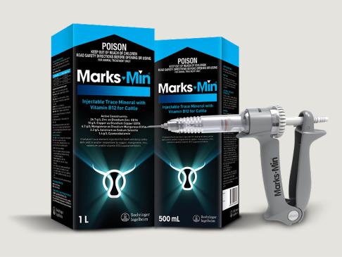 marksmin-bag-offer-banner