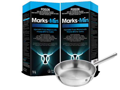 Buy 2 x Marks-Min 1 L to receive a FREE Zwilling Fry Pan, valued at an RRP of $120. Purchase your products from participating stockists to claim your fry pan while stocks last. 