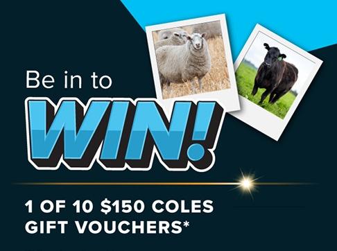 Promotional graphic for the LivestockFirst photo competition reading 'Be in to WIN! 1 of 10 $150 Coles Gift Vouchers' alongside polaroids of sheep and cattle