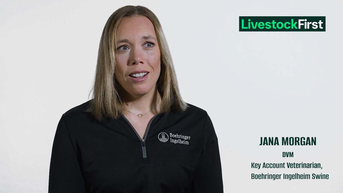 Preventing-Disease-in-Swine-Vaccine Compliance