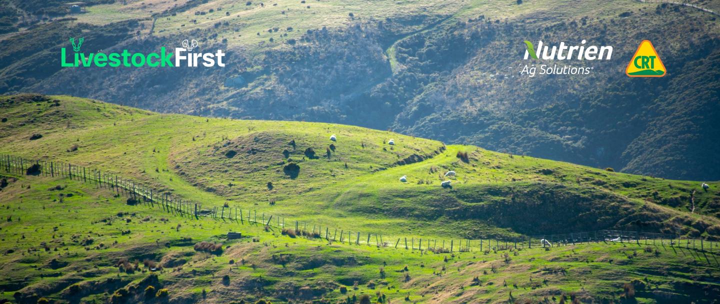 New-Zealand-green-pastures-sheep-mountains-nutrien-boehringer-promotion