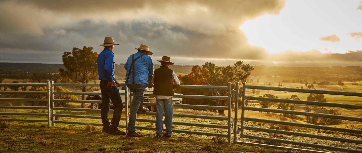 Farmers-overlooking-their-property-promoting-Triguard-Spring-offer-Ledlenser-headlamp