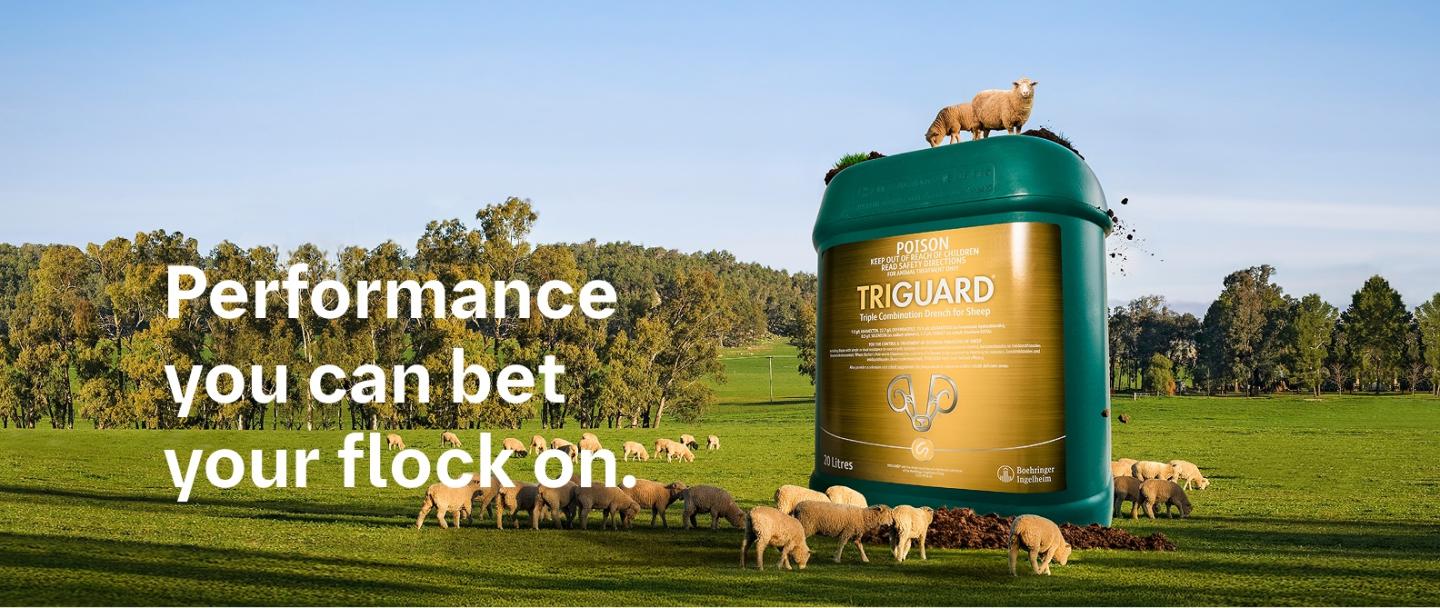 Triguard-Ezepak-Backpack-and-Holster-Bonus-Offer