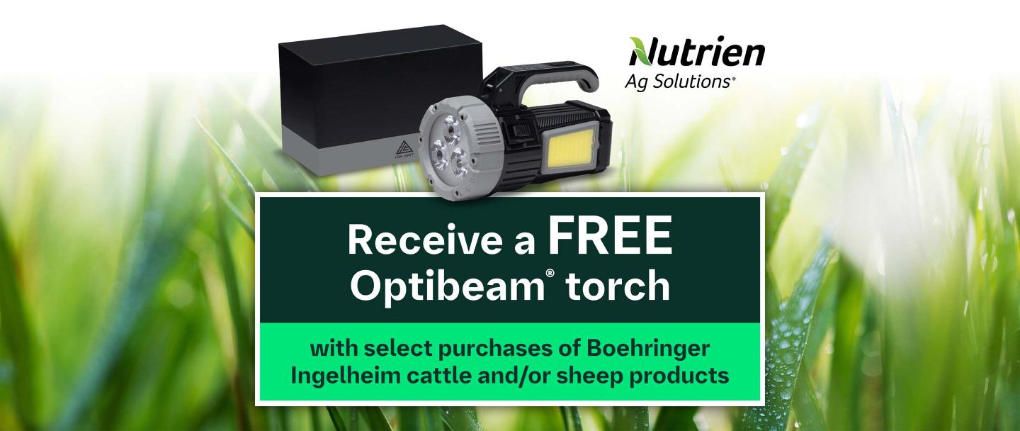 Receive 2 FREE Optibeam® Torches This Spring