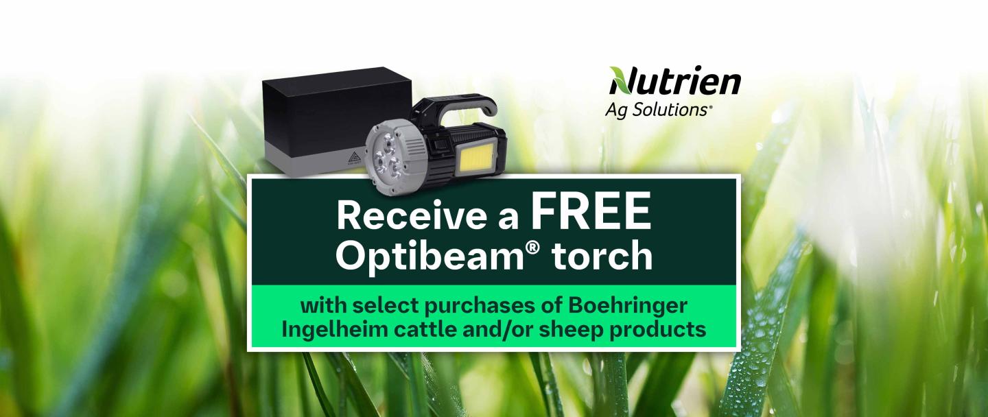 Receive 2 FREE Optibeam® Torches This Spring
