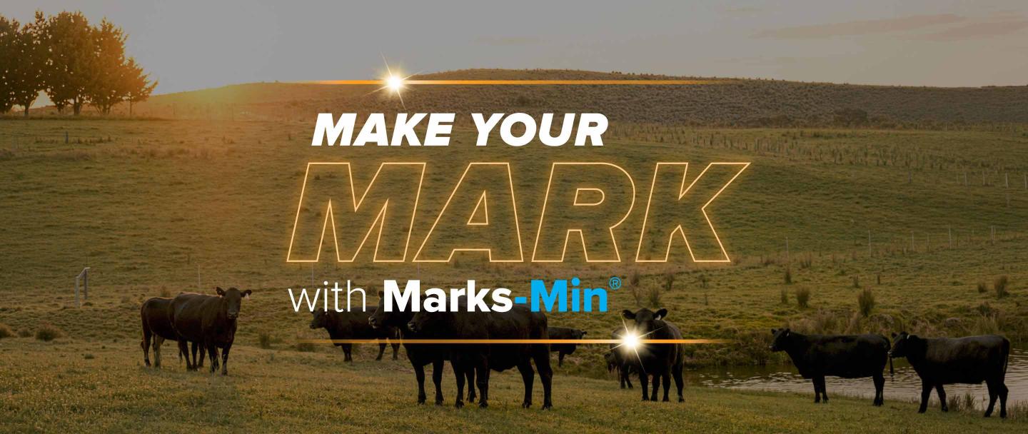 Black cattle grazing in a green pasture. Text reads 'Make your MARK with Marks-Min' and 'Be in to WIN!' with polaroid photos of sheep and cattle
