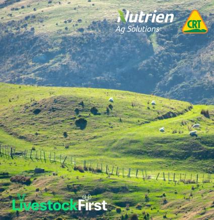 Win-New-Zealand-Study-Tour