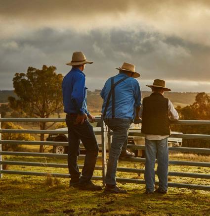 Farmers-overlooking-their-property-promoting-Triguard-Spring-offer-Ledlenser-headlamp