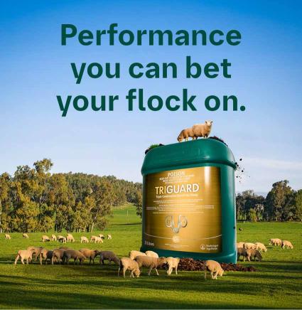 Triguard-Ezepak-Backpack-and-Holster-Bonus-Offer