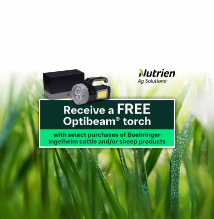 Purchase selected Boehringer Ingelheim cattle and / or sheep products from your local Nutrien store to receive a FREE* Optibeam® torch while stocks last!
