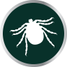 Cattle_Tick_icon_96x96.png