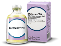 Metacam-20-pain-relief-for-livestock