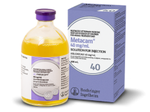 Metacam-40-long-acting-pain-relief-for-cattle